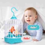 Rechargeable Talking Bird Toy